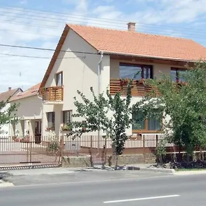 Pensjonat Aura Vendeghaz